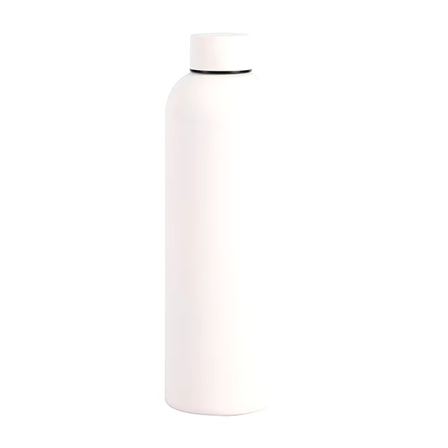 Insulated WaterBottle